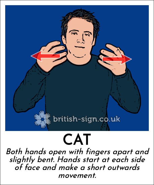 Cat: Both hands open with fingers apart and slightly bent.  Hands start at each side of face and make a short outwards movement. 